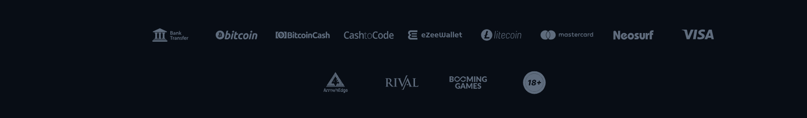 Footer with payment method logos including bank transfer, Bitcoin, Bitcoin Cash, CashtoCode, eZeeWallet, Litecoin, Mastercard, Neosurf, and Visa, plus provider logos and an 18+ age restriction badge on a dark background.